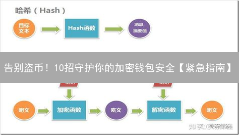 告别盗币！10招守护你的加密钱包安全【紧急指南】