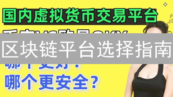 区块链平台选择指南：数字货币交易平台深度解析与安全建议