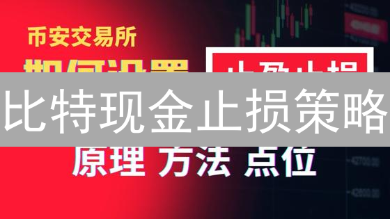 比特现金止损策略：加密货币风险管理的关键