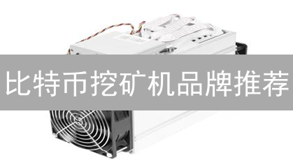 比特币挖矿机品牌推荐：选择指南与市场分析
