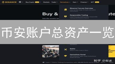 币安账户总资产一览：登录、导航与资产分布深度解析