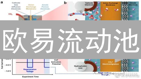 欧易流动池：功能解析、收益机制与应用价值深度解读