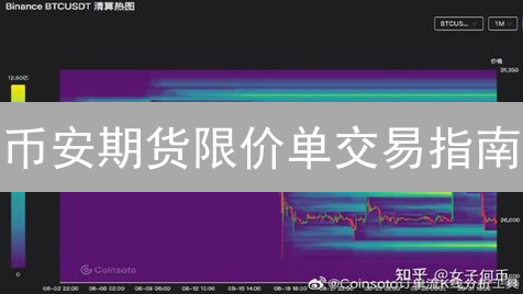 币安期货限价单交易指南：策略、功能与使用技巧详解