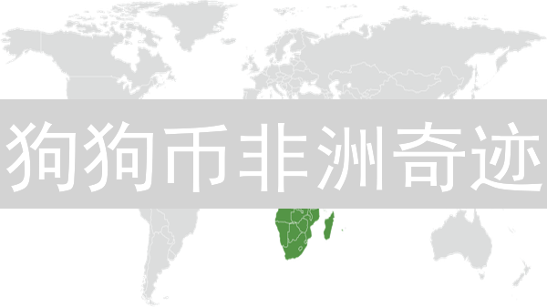 狗狗币非洲奇迹：玩笑币如何逆袭普惠金融？