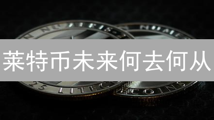 莱特币未来何去何从？把握影响价格的关键因素！
