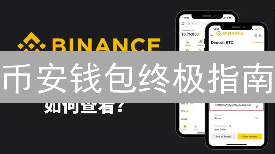 币安钱包终极指南：新手也能轻松上手，资产安全无忧！