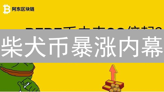 柴犬币暴涨内幕：三大联动机制揭秘！2024还能上车吗？