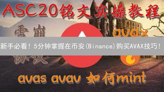 新手必看！5分钟掌握在币安(Binance)购买AVAX技巧！