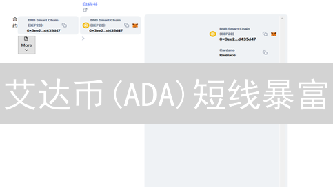 艾达币(ADA)短线暴富？专家解读：风险与机遇并存！