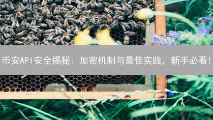币安API安全揭秘: 加密机制与最佳实践，新手必看!