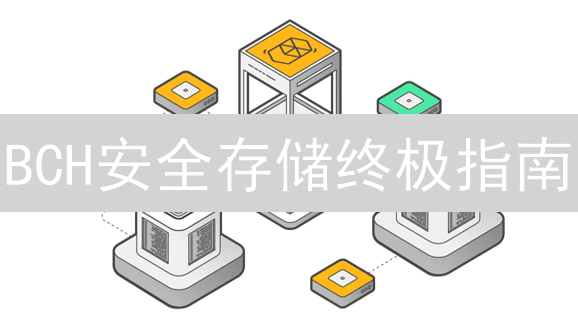 BCH安全存储终极指南：避免资产损失的6大秘诀！