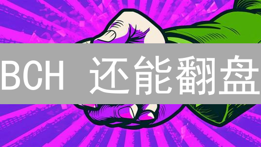 BCH 还能翻盘？深入解读比特现金白皮书【2024最新】