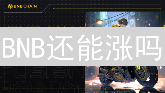 BNB还能涨吗？历史数据揭秘未来潜力！