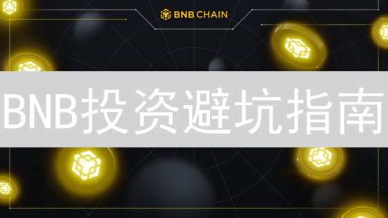 BNB投资避坑指南：还在盲投？这几个风险你必须知道！