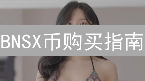 BNSX币购买指南：哪里可以安全购买BNSX币？