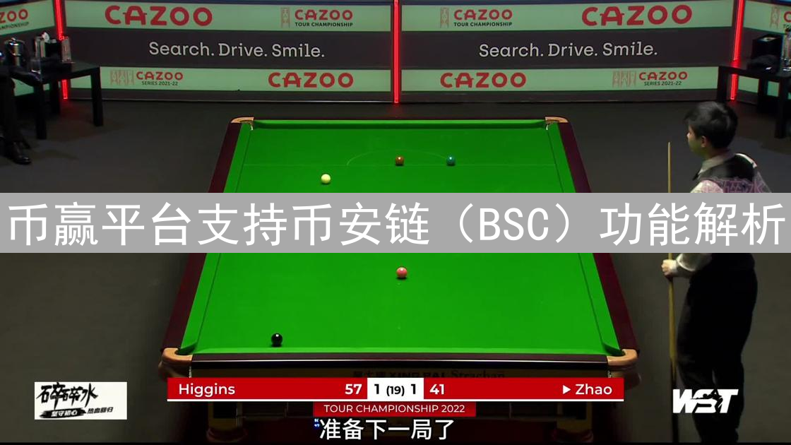 币赢平台支持币安链（BSC）功能解析