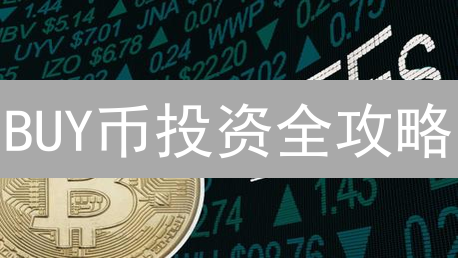 BUY币投资全攻略：风险分析与稳健策略，新手必读！