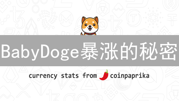 BabyDoge暴涨的秘密：BNB链上的财富密码？风险几何？