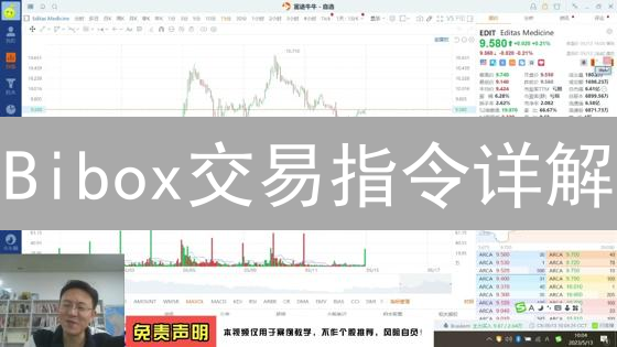 Bibox交易指令详解：掌握技巧，优化数字货币交易策略
