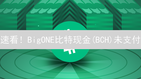 速看！BigONE比特现金(BCH)未支付？专家教你一招搞定！
