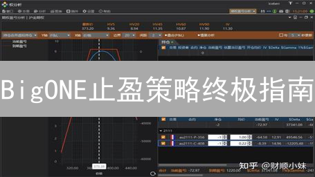 BigONE止盈策略终极指南：新手也能轻松锁定利润！