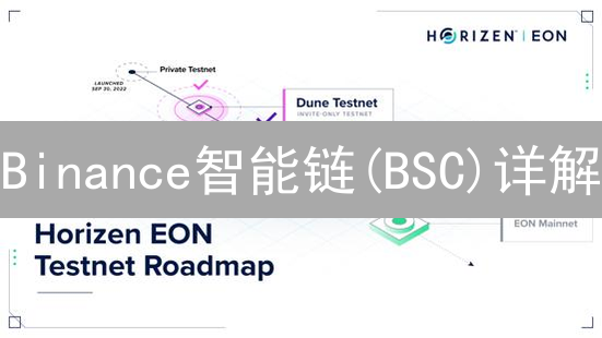 Binance智能链(BSC)详解：DeFi的平行宇宙探索