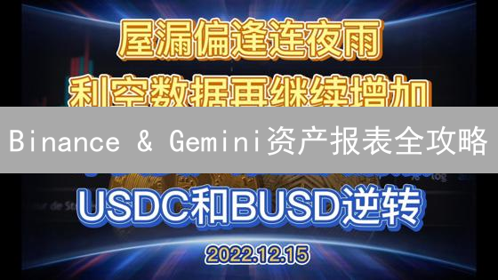 Binance & Gemini资产报表全攻略：一键掌握你的加密货币投资！