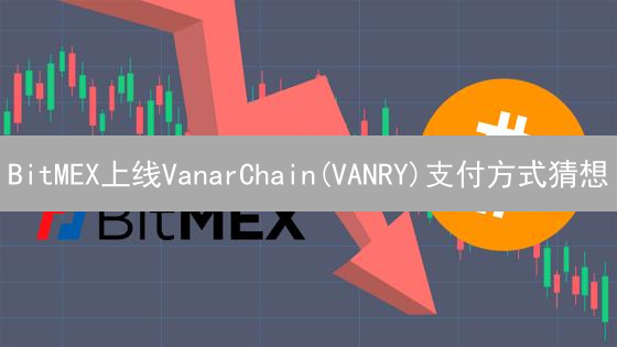 BitMEX上线VanarChain(VANRY)支付方式猜想