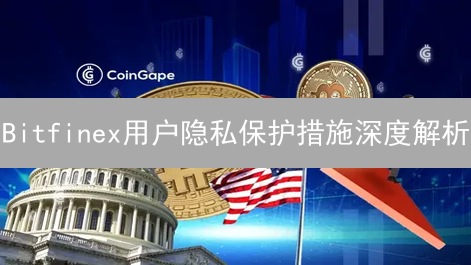 Bitfinex用户隐私保护措施深度解析：优势与挑战