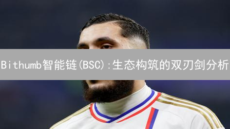 Bithumb智能链(BSC):生态构筑的双刃剑分析