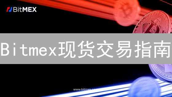 Bitmex现货交易指南：新手快速入门，玩转数字货币！