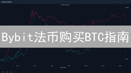 Bybit法币购买BTC指南：新手快速入门，老手灵活配置！