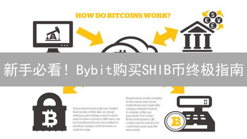 新手必看！Bybit购买SHIB币终极指南：快速、安全、低风险！