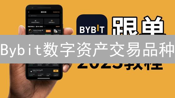 Bybit数字资产交易品种：现货与杠杆交易全解析