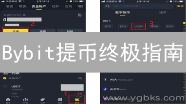 Bybit提币终极指南：新手必看，速提技巧！