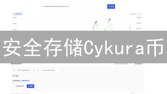 安全存储Cykura币：冷钱包购买与设置指南