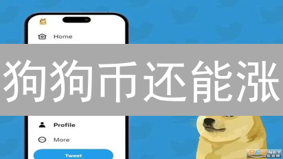 狗狗币还能涨？新手必看：安全购买DOGE币全攻略！