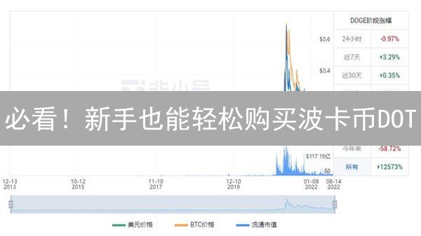 必看！新手也能轻松购买波卡币DOT？掌握这几招就够了！