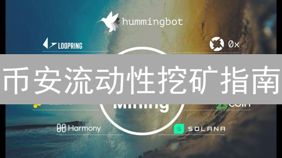 币安流动性挖矿指南：释放DeFi资产潜能，畅游币安DeFi世界