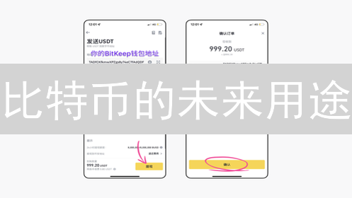 比特币的未来用途：DeFi、微支付与价值互联网的传输媒介