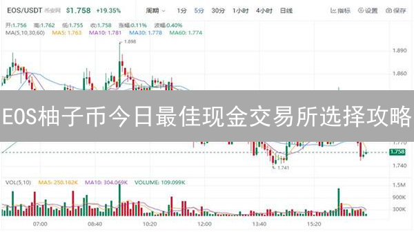 EOS柚子币今日最佳现金交易所选择攻略：2024年新手必看！