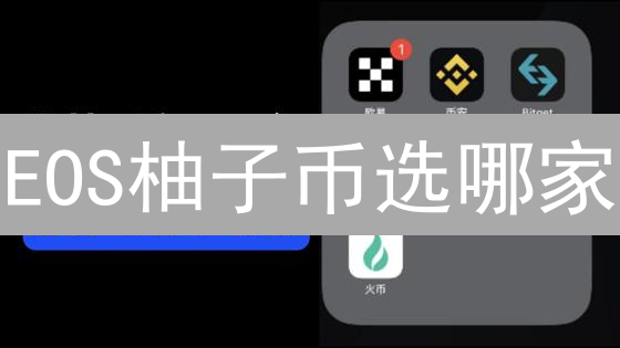 EOS柚子币选哪家？欧易OKX vs BigONE，差异大揭秘！
