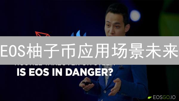 EOS柚子币应用场景未来：超越性能的生态构建之路