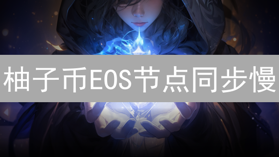柚子币EOS节点同步慢？原因分析与加速方案详解