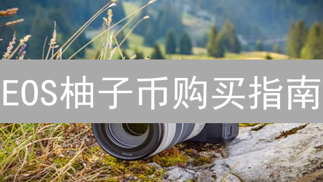 EOS柚子币购买指南：新手也能轻松上手！