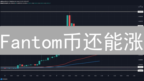 Fantom币还能涨？深扒潜力与风险！【2024最新】
