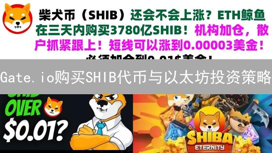 Gate.io购买SHIB代币与以太坊投资策略