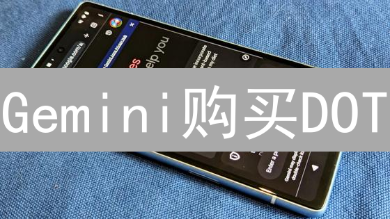 Gemini购买DOT：新手指南与深度解析 | Polkadot投资攻略
