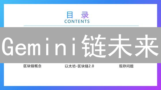 Gemini链未来：探索与挑战！Winklevoss兄弟的新篇章？