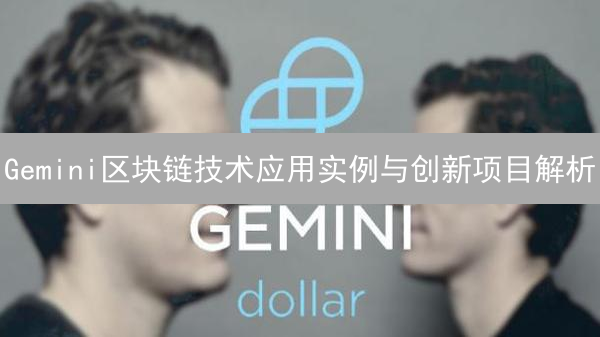Gemini区块链技术应用实例与创新项目解析